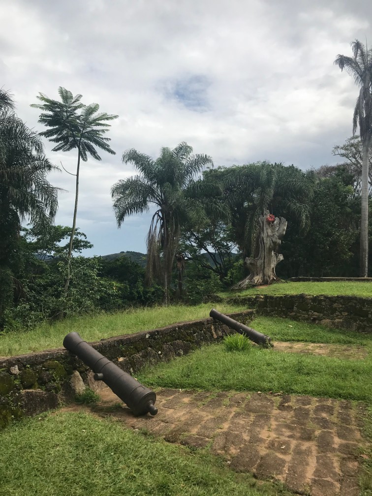 Forte Defensor Perpetuo